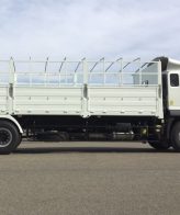 Xe auman c240